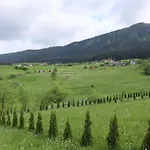 Lotus Villa *