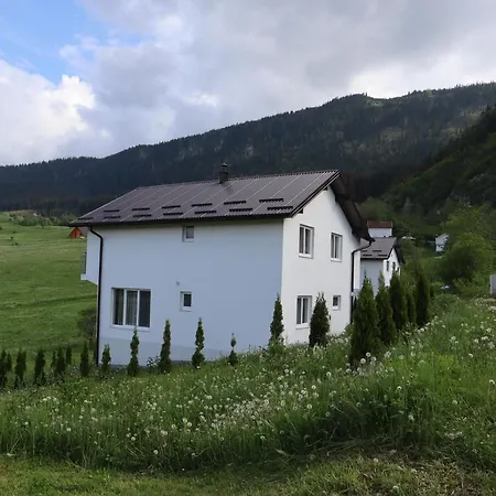Lotus Villa