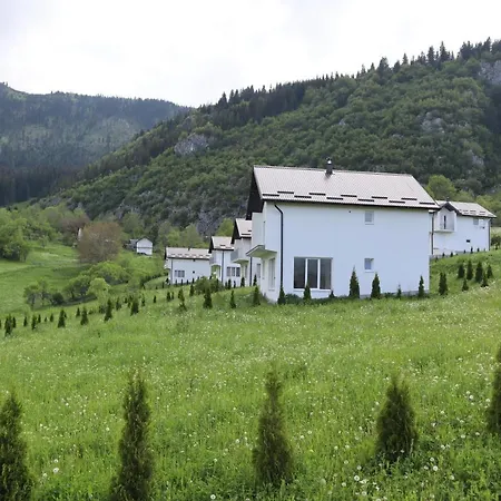Lotus Villa